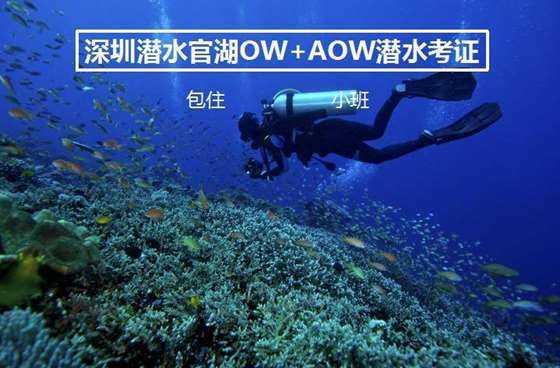 小猫钓鱼开船版最新版下载
