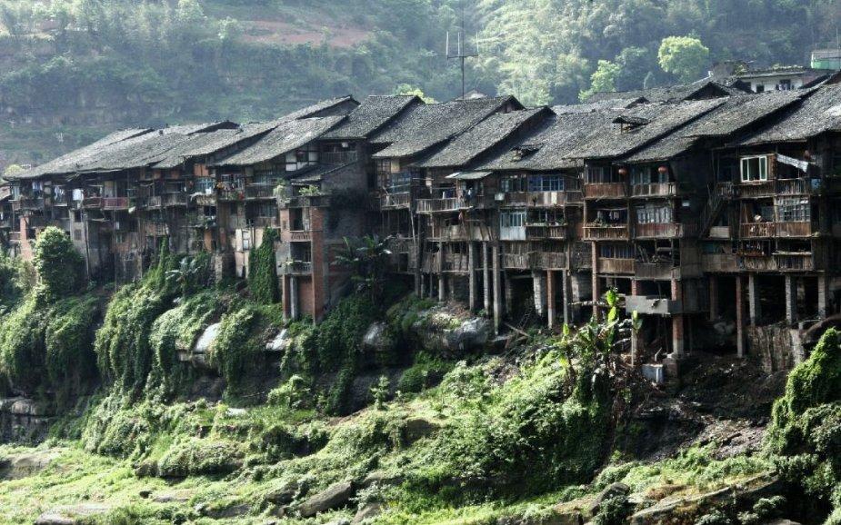 雷竞技比分